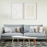 vidaXL Barva za stene Ekr 2.5 L Cene