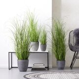Modern Living Šop Trave Patrick | Shoptok.si
