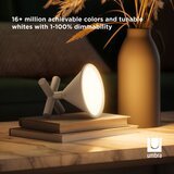Umbra Pametna rasvjeta Cono – | shoptok.hr