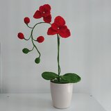 MENO Orhideja Ručno heklani cvet, Crveni | Eponuda.com