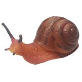  Puž | Eponuda.com