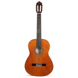 Valencia klasična gitara 4/4-set Cijene