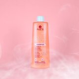 Alama professional Anti Frizz Gloss Shampoo šampon anti-frizzy 500 ml | shoptok.hr