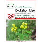 Saflax Grško seno | Shoptok.si