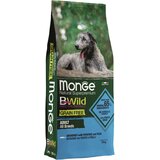 Monge bwild grain free adult dog anchovies - hrana za odrasle pse sa inćunima (2,5kg i 12kg) 12kg Cene