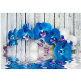  Tapeta - Cobaltic orchid 250x175 | shoptok.hr