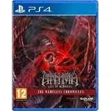 Gate of Memories Nameless Chronicle (PS4)