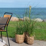 House Nordic Podstavki za cvetlične lonce iz morske trave v kompletu 3 ks ø 31 cm Hue – | Shoptok.si