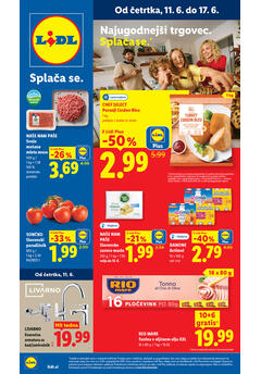 Lidl redni katalog