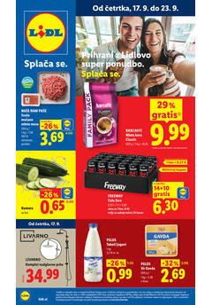 Lidl redni katalog