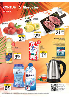 Mercator kataloška ponuda