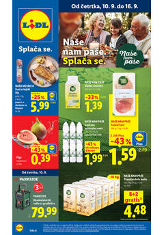 Lidl redni katalog