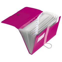 Herlitz Mapa za kućni budžet 12 pregrada s gumicom A4 pp Herlitz 11217114 roze Cene