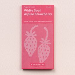 Piccolo Seeds Alpski slamnik "Bela duša" - 1 pkt. Cene