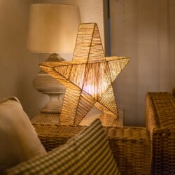 New Garden Stoječa svetilka rjava 60 cm, vključno s polnilno LED IP54 - Sisine Cene