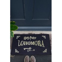 Conceptum Hypnose tepih Lohomora, 40x60 cm, šaren Cijene
