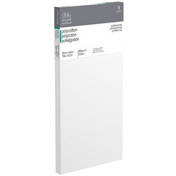WINSOR & NEWTON Slikarsko platno z okvirjem Profesionalni (20 x 40 x 2,1 cm, Tkanina iz bombažne mešanice, 3-krat grundirano, Gramatura: 385 g/m², Srednje fina) Cene