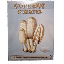 Dobra hrana Sušeni prah Coprinus comatus gljive 50g, DH Cene
