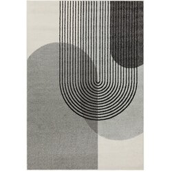 Asiatic Carpets sivi tepih 230x160 cm Muse Cene