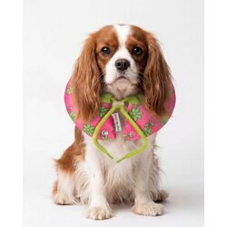 Paws & Whiskers Ogrlica za kućne ljubimce Krofna, Roze Cene