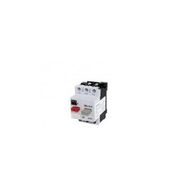 SCHELLENBERG motor sklop 16-25 Cene