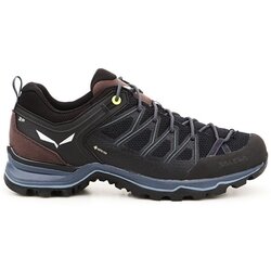 Salewa Pohodništvo MS Mtn Trainer Lite Gtx pisana Cene