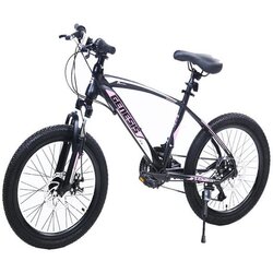 Winner Bike dečiji bicikl 20" 6 Sus Genesis BCK0502 Cene