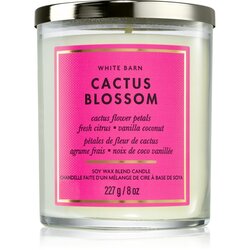 Bath & Body Works Cactus Blossom dišeča sveča 227 g Cene