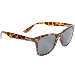 Trespass Matter Sunglasses Cene