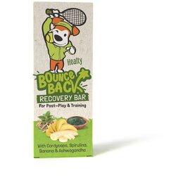 Little Chef Healthy Bars Recovery poslastica za pse 38 g Cene