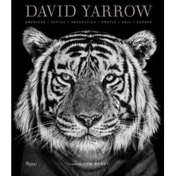 Marston David Yarrow, Tom Brady - David Yarrow Photography: Americas, Africa, Antarctica, Arctic, Asia, Europe Cene