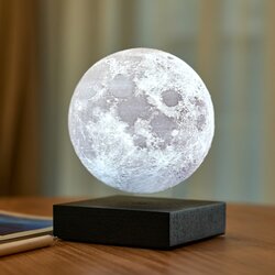 Gingko črna namizna svetilka v obliki lune Cene