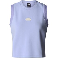 The North Face Terry Relaxed Cropped majica Cene