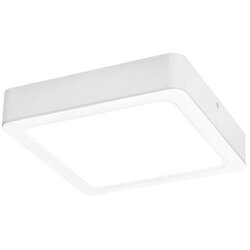 Rabalux plafonjera Shaun Cene