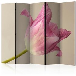 Artgeist Paravan Pink Tulip I, 5-Delni, Dvostranski Cene