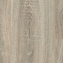 Egger laminat 8/31 Hrast Bardolino sivi Cene