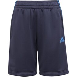 Adidas kysha blue Cijene