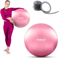 Neo-Sport Žoga za vadbo 55 cm NS-950 roza, (21960950) Cene