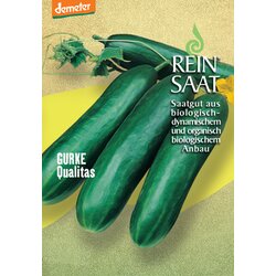 ReinSaat Kumara "Qualitas" Cene