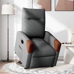 Maison Chic Električni naslanjač - Relax naslanjač s funkcijo vstajanja temno siv, (22062642) Cene
