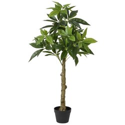 Ambia Home UMETNA RASTLINA 80/120/80 cm Cene