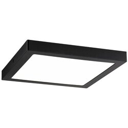 PAULMANN 71026 - LED/22W plafonska svetiljka ABIA 230V crna Cene