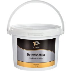 Equanis DetoxBooster Cene