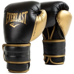 Everlast Boks rukavice Powerlock 2 bokserske rukavice Cene