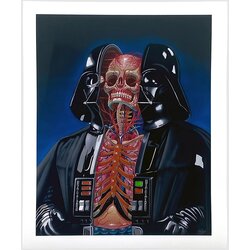 Nychos Dissection of Darth Vader Fine Art Print multicolor Cene