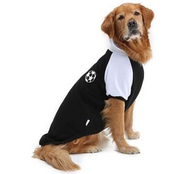 Paws & Whiskers Odelo za pse Blackballsweat, Crno Cene