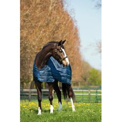 Horseware Ireland Horseware Liner 100g - 145 cm Cene