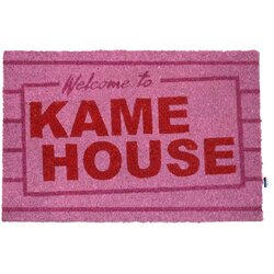 SD Toys Dragon Ball Z Hame House doormat Cene