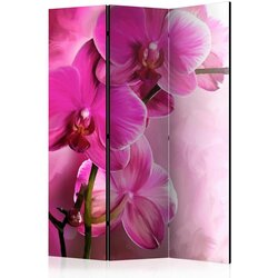 Artgeist Paravan Pink Orchid, 3-Delni, Dvostranski Cene