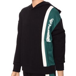 Hummel duks za dečake hmlgrayson hoodie Cene